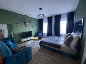 3 Zimmer Apartment mitten in Altstadt - Koblenz
